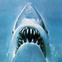 Jaws on Random Most Utterly Terrifying Figures In Horror Films
