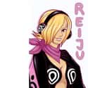 Vinsmoke Reiju on Random Every One Piece Charact