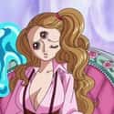 Charlotte Pudding on Random Every One Piece Charact