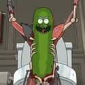 Pickle Rick on Random Schwiftiest Rick and Morty Characters