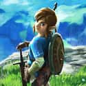 The Legend of Zelda: Breath of the Wild is a 2017 action-adventure game developed and published by Nintendo for the Nintendo Switch and Wii U.