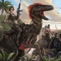 2018   Ark: Survival Evolved (stylized as ΛRK) is a 2017 action-adventure survival video game developed by Studio Wildcard in collaboration with Instinct Games, Efecto Studios, and Virtual Basement.