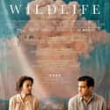 Wildlife on Random Great Movies About Depressing Couples