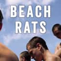 Beach Rats on Random Best LGBTQ+ Themed Movies