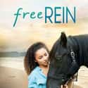 Free Rein on Random Best Teen Shows On Netflix