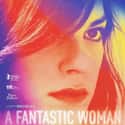 A Fantastic Woman on Random Best Transgender Movies