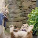 Peter Rabbit on Random Kids' Movies That Proved Surprisingly Controversial