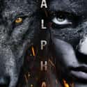 Alpha on Random Best New Adventure Movies of Last Few Years