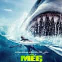 The Meg on Random Scariest Ship Horror Movies Set on Sea