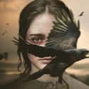 The Nightingale is a 2018 Australian period thriller film directed by Jennifer Kent.