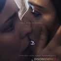 Disobedience on Random Movies If You Love Call Me By Your Name