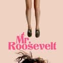 Mr. Roosevelt on Random Best Indie Movies Streaming on Netflix