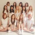 Cosmic Girls (WJSN) on Random K-pop Idol TikTok Usernames