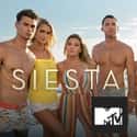 Siesta Key on Random Best Current MTV Shows