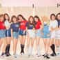 K-Pop, Pop Music, Ballad   Momoland (Korean: 모모랜드) is a South Korean girl group formed by MLD Entertainment (formerly known as Duble Kick Company)[1] through the 2016 reality show Finding Momoland.[2] The show winners became the seven members, Hyebin, Yeonwoo, Jane, Nayun, JooE, Ahin, and Nancy, and debuted on November 10, 2016, with the EP Welcome to Momoland.