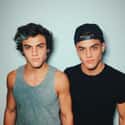 The Dolan Twins on Random Best YouTubers Who Started On Vine