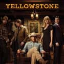 Yellowstone on Random Current TV Shows That Basic Bitches LOVE
