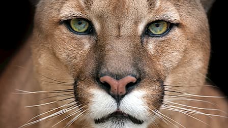 The 15 Best Educational Netflix Shows For All Ages