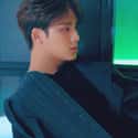 Mingyu on Random Best Visuals In K-pop Right Now