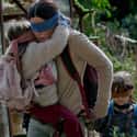 Bird Box on Random Films Stephen King Has Awarded His Personal Stamp Of Approval