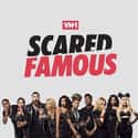 Scared Famous on Random Best Current VH1 Shows