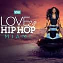Love & Hip Hop: Miami on Random Best Current VH1 Shows