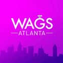 WAGS Atlanta on Random Best Current E! Shows