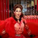 Violet Chachki on Random Drag Queen Beauty Tips That Will Forever Change Your Beauty Routine