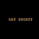 Chris O'Dowd, Ray Romano, Sean Bridgers   Get Shorty (Epix, 2017) is an American comedy-drama television series created by Davey Holmes, inspired by the novel by Elmore Leonard.