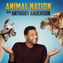 Animal Nation with Anthony Anderson on Random Best Current Animal Planet Shows