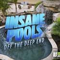 Insane Pools: Off the Deep End on Random Best Current Animal Planet Shows