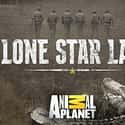 Lone Star Law on Random Best Current Animal Planet Shows