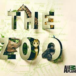 Best Animal Planet Shows On Now | List of Current Animal Planet Series