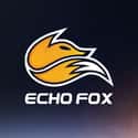 Echo Fox on Random World's Greatest Esports Teams