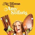 At Home with Amy Sedaris on Random Best Current TruTV Shows