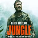 Jungle on Random Best Thriller Movies Of 2017