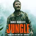 Jungle on Random Best Survival Movies Based on True Stories