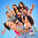 Jersey Shore Family Vacation on Random TV Shows and Movies For 'Married At First Sight' Fans