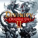 Divinity: Original Sin II on Random Greatest RPG Video Games
