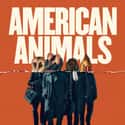 American Animals on Random Best New Crime Movies of Last Few Years