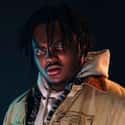 Real N*gga Music Terry Sanchez Wallace (born March 23, 1994), known professionally as Tee Grizzley, is an American rapper from the West Side of Detroit, Michigan.