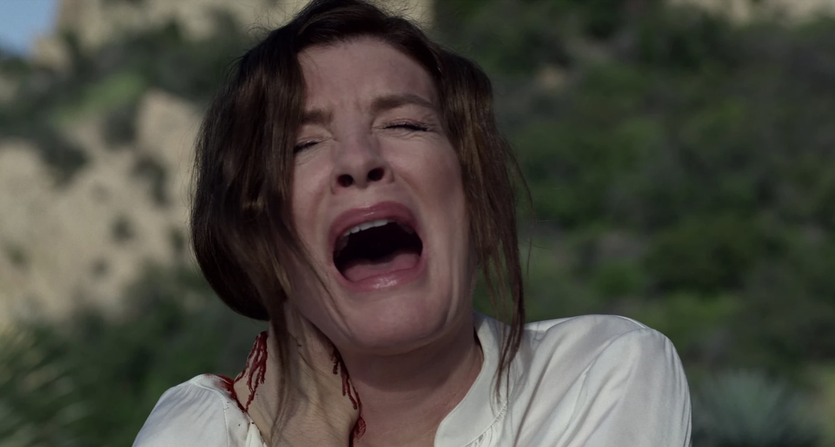 The Best Horror Movies That Begin With V, Ranked By Fans