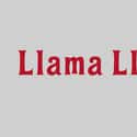 Llama Llama on Random Best Current Animated Series