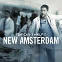Ryan Eggold, Freema Agyeman, Janet Montgomery   New Amsterdam (NBC, 2018) is an American medical drama television series developed by David Schulner.