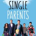 Single Parents on Random Best New TV Sitcoms