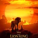 The Lion King on Random Best Disney Live-Action Movies