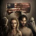 Tyler Hoechlin, Kate Bosworth, Lance Reddick   The Domestics is a 2018 American post-apocalyptic thriller film directed by Mike P. Nelson.