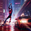 Spider-Man: Into the Spider-Verse on Random Best Movies For 10-Year-Old Kids