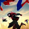 Shameik Moore, Hailee Steinfeld, Mahershala Ali   Spider-Man: Into the Spider-Verse is a 2018 American computer-animated superhero film directed by Bob Persichetti, Peter Ramsey, and Rodney Rothman, based on the Marvel Comics character....