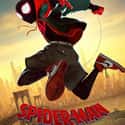 Spider-Man: Into the Spider-Verse on Random Best Adventure Movies for Kids